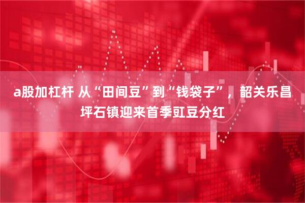 a股加杠杆 从“田间豆”到“钱袋子”，韶关乐昌坪石镇迎来首季豇豆分红