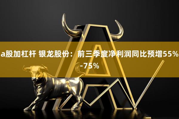 a股加杠杆 银龙股份：前三季度净利润同比预增55%-75%